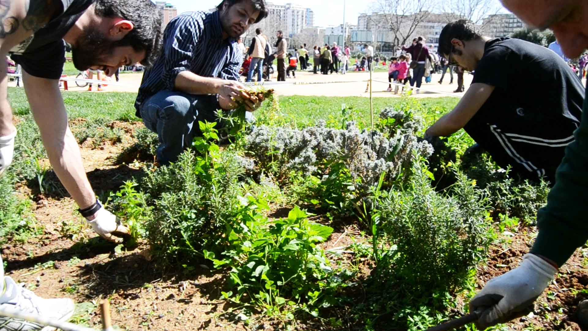 Ogni fine settimana un programma di giardinaggio aperto a tutti