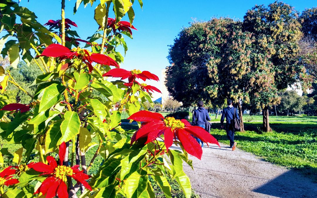 A Natale Vota Parco Uditore